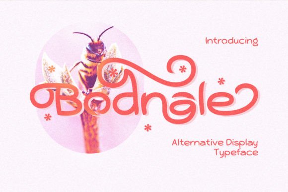 Bodnale: A Quirky Elegant Display Font for Modern Designs