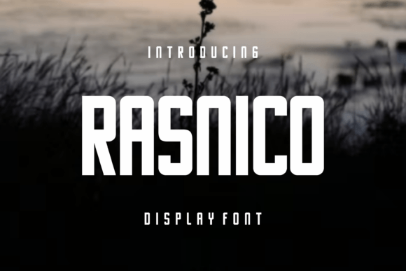Rasnico: The Bold Display Font for Handmade Branding